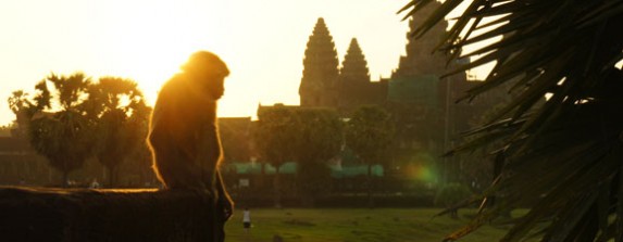 10–16 May: Angkor What?